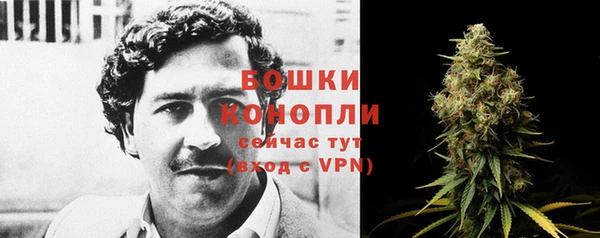 наркотики Бородино