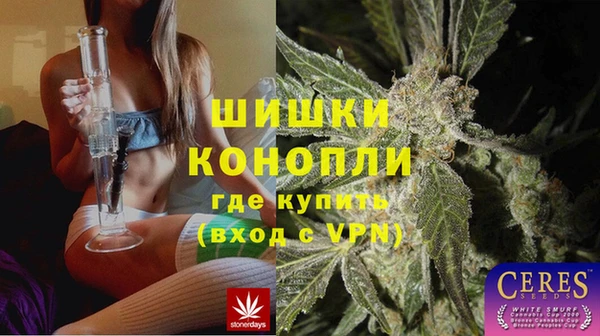наркотики Бородино