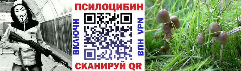 Псилоцибиновые грибы прущие грибы  Заозёрск 